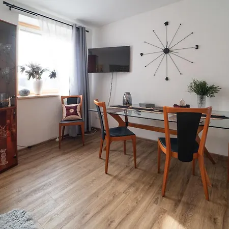 V Centru S Terasou *