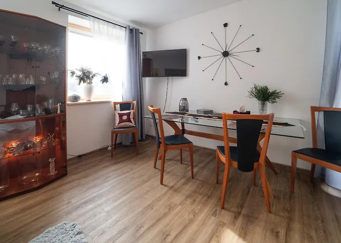 V Centru S Terasou *